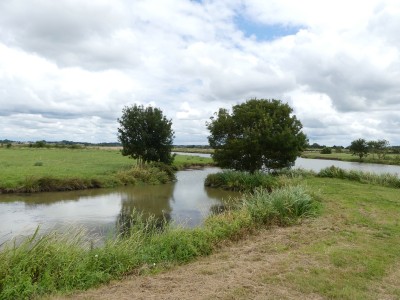 P1710263