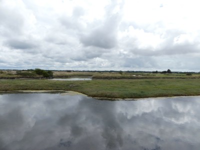 P1710266
