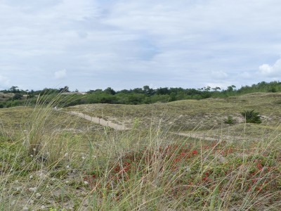 P1710282