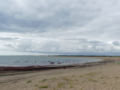 P1710285