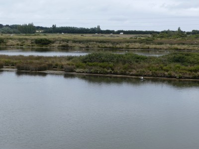 P1710344