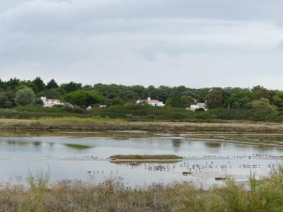 P1710385