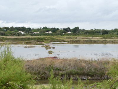 P1710387