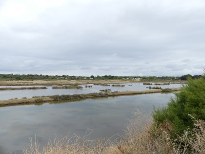 P1710392
