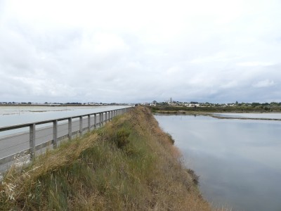 P1710397