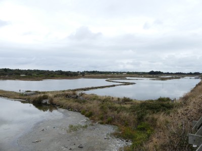 P1710410