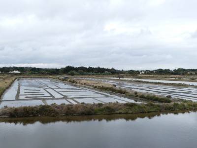 P1710414