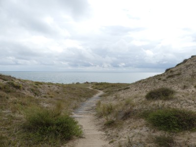 P1710432