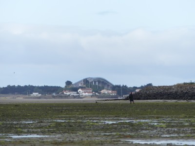 P1710461