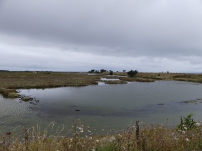 P1710528
