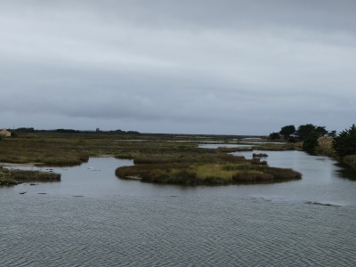 P1710533
