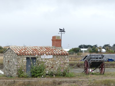 P1710626