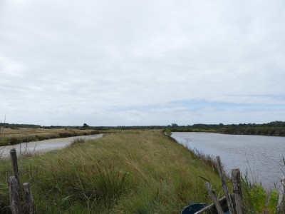 P1710760