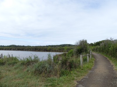 P1710766