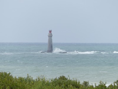 P1710778