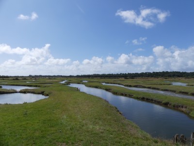 P1710919
