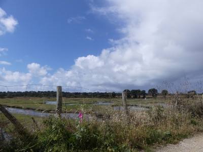P1710920