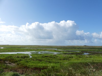 P1710930