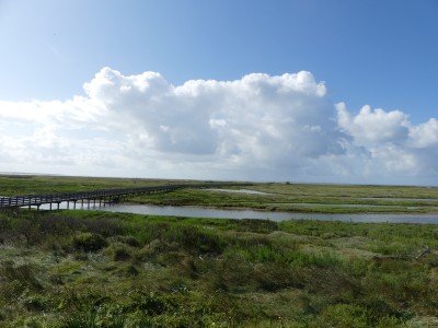 P1710935