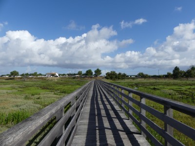 P1710937