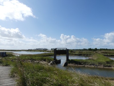 P1710955