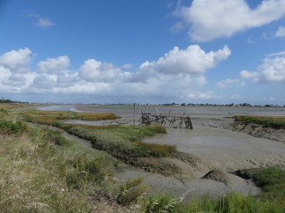 P1710956