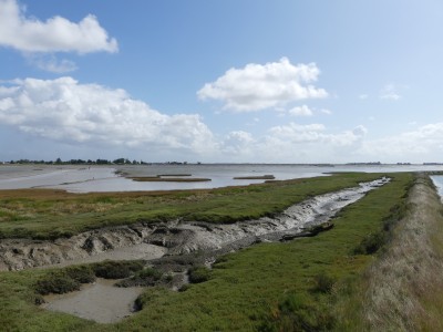 P1710957