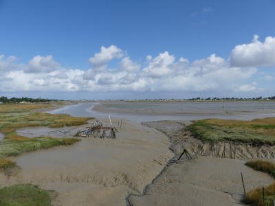 P1710963