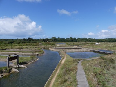 P1710966