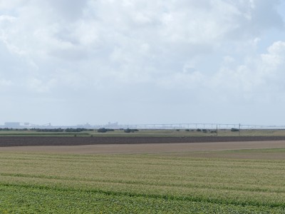 P1710977
