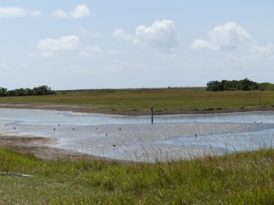 P1720016