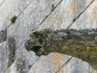 P1720057