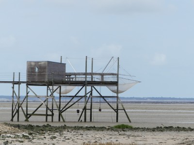 P1720061