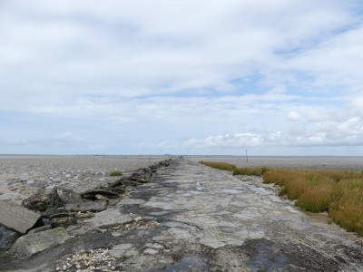 P1720064