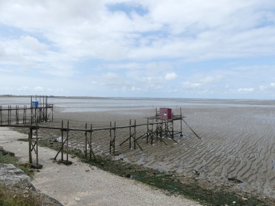 P1720086