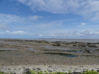 P1720087