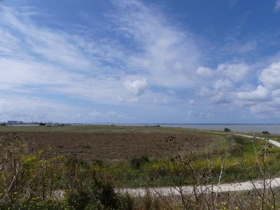 P1720089