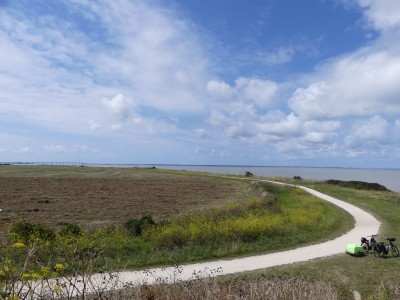P1720093
