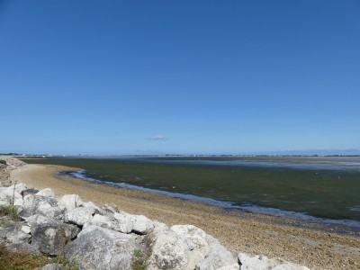 P1720127