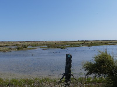 P1720215