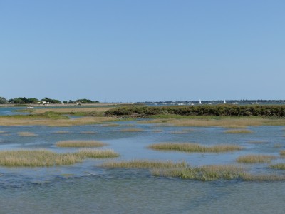P1720227