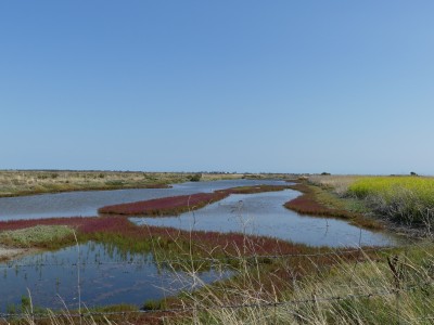 P1720246