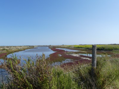 P1720262