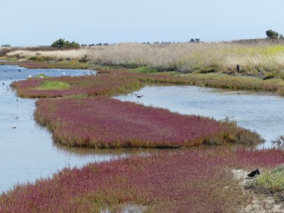 P1720288