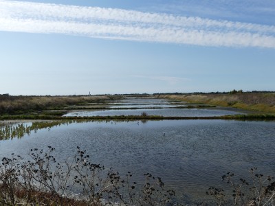 P1720331