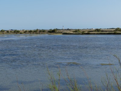 Ars en Ré