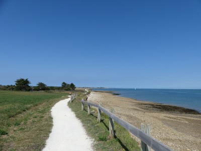 P1720353
