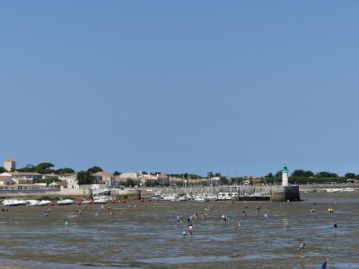 P1720377