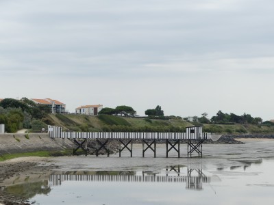 P1720412