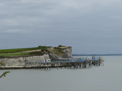 P1720636